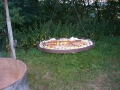 FC_Grillen05_11